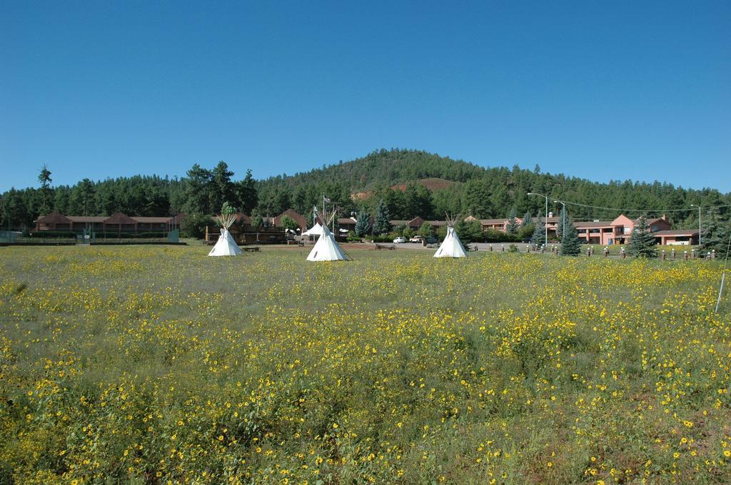 Mountain Ranch Resort At Beacon Hill Вільямс Екстер'єр фото